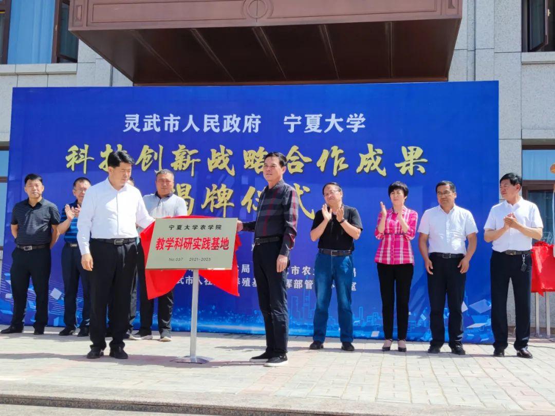 新澳今天晚上9点30分,稳定设计解析策略_C版46.47