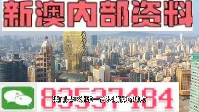 新澳门全年免费料精准,经典解释落实_XT52.860