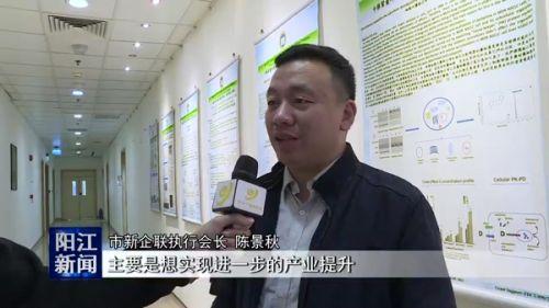 新澳门最精准免费大全,快速设计响应解析