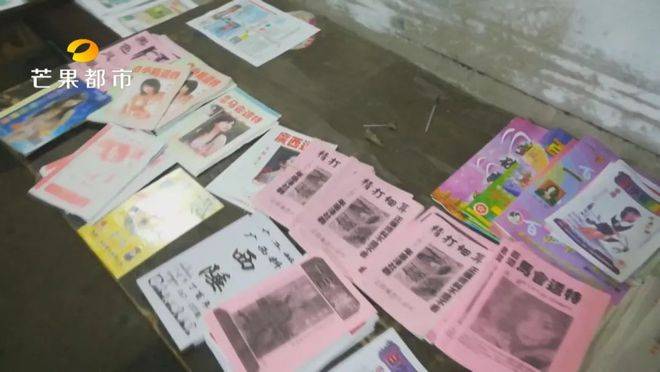 澳门码最准的马报资料个人解密,精细解析说明