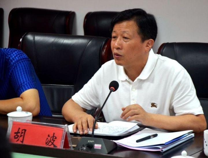 关福金最新动态，探索前沿科技，行业创新引领者