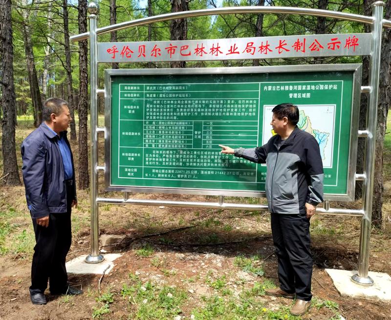 向阳林场绿色生态与可持续发展蓝图揭晓的最新发展规划
