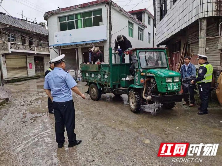 罗水乡交通新闻更新，最新动态与资讯