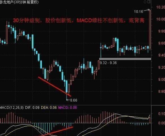 最新股票收益解析，理解其重要性及影响因素的关键概览