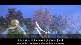 沈小夕的最新动态与成就概览
