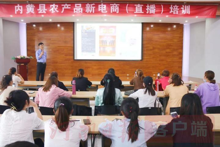 河南内黄最新直播，探寻古老土地的新面貌