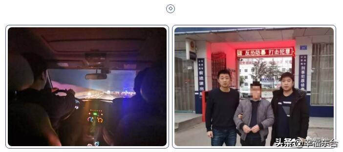 国营弶港农场最新项目引领农业现代化新潮流