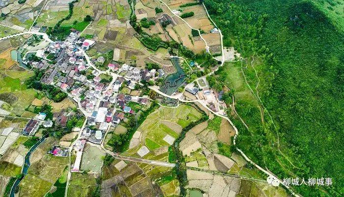 岱东镇与秀山乡最新天气预报详解，天气动态一目了然