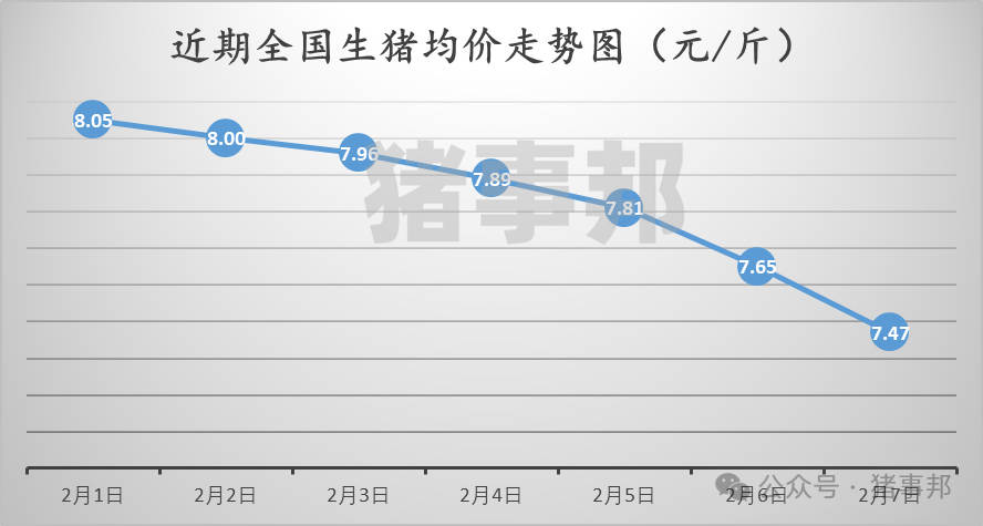 最新今日生猪价格概览，分析与展望