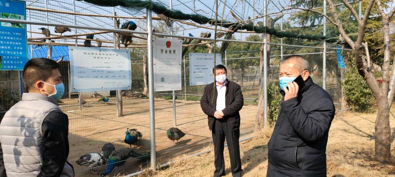 全球视角下的疫情发展最新动态深度分析