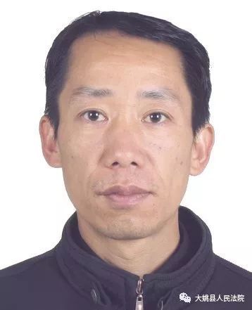 大姚最新老赖现象深度解析与探讨