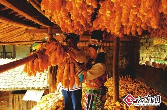 摆榔彝族布朗族乡最新新闻报道及动态更新