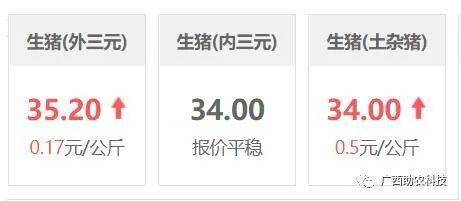 广西鸡鸭价最新动态及分析摘要