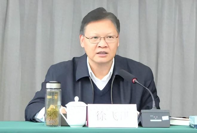 徐飞最新简历概览，个人履历全解析