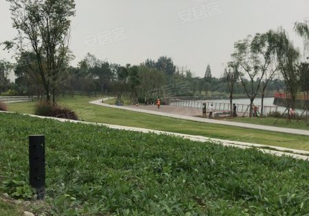 蜀镇最新动态揭秘，古镇新面貌与发展新机遇探索