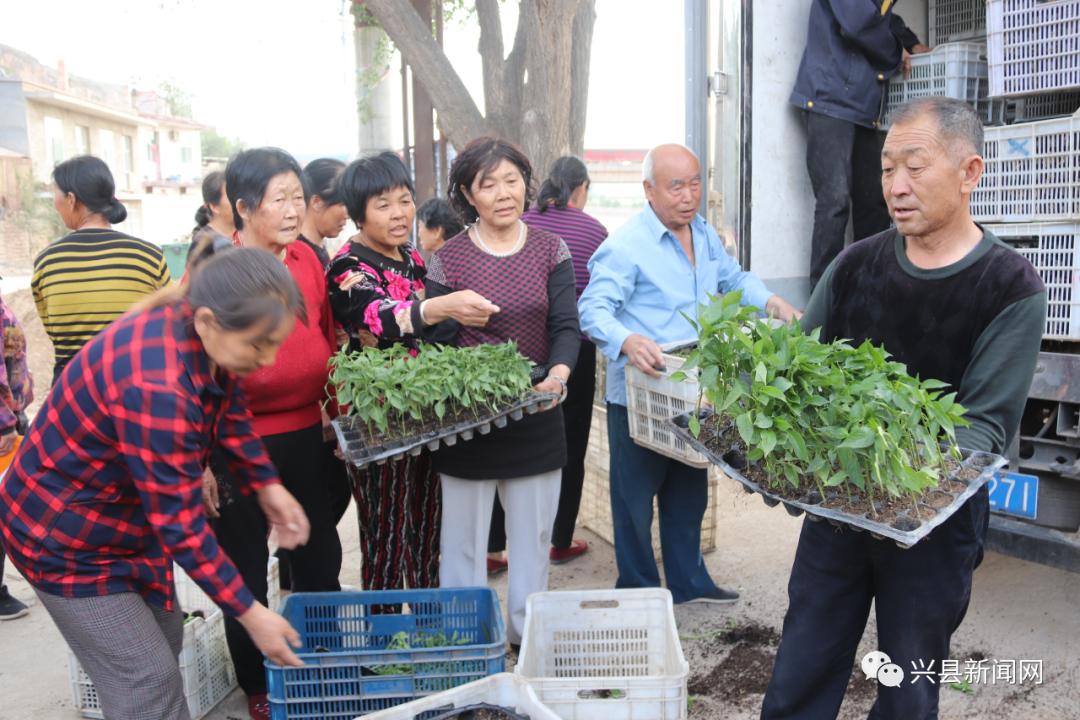 山西省吕梁市兴县交楼申交通新闻更新