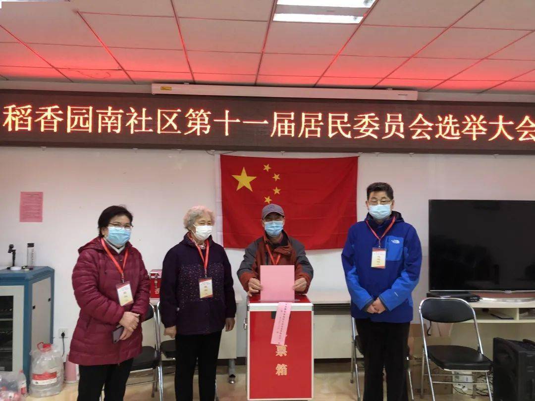 杨柳社区人事任命最新动态，人事调整及其社区影响