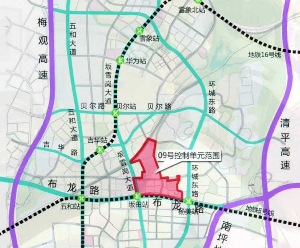 洪湖市自然资源和规划局领导团队最新概述