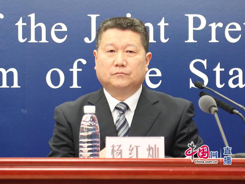 杨红灿的最新动态与成就概览
