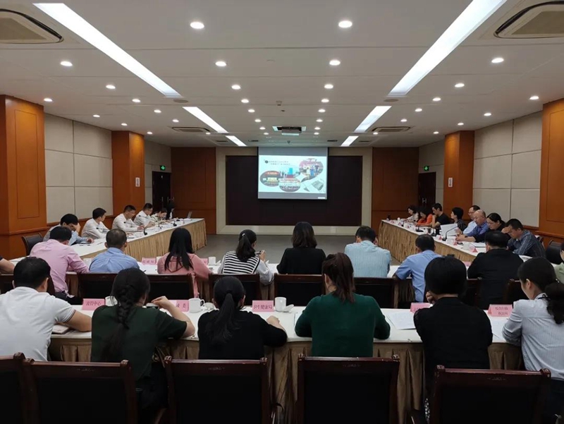 桐乡市教育局最新项目，引领教育革新，塑造未来之光启航行动