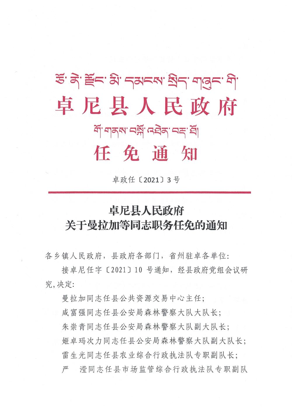 专家协会 第19页