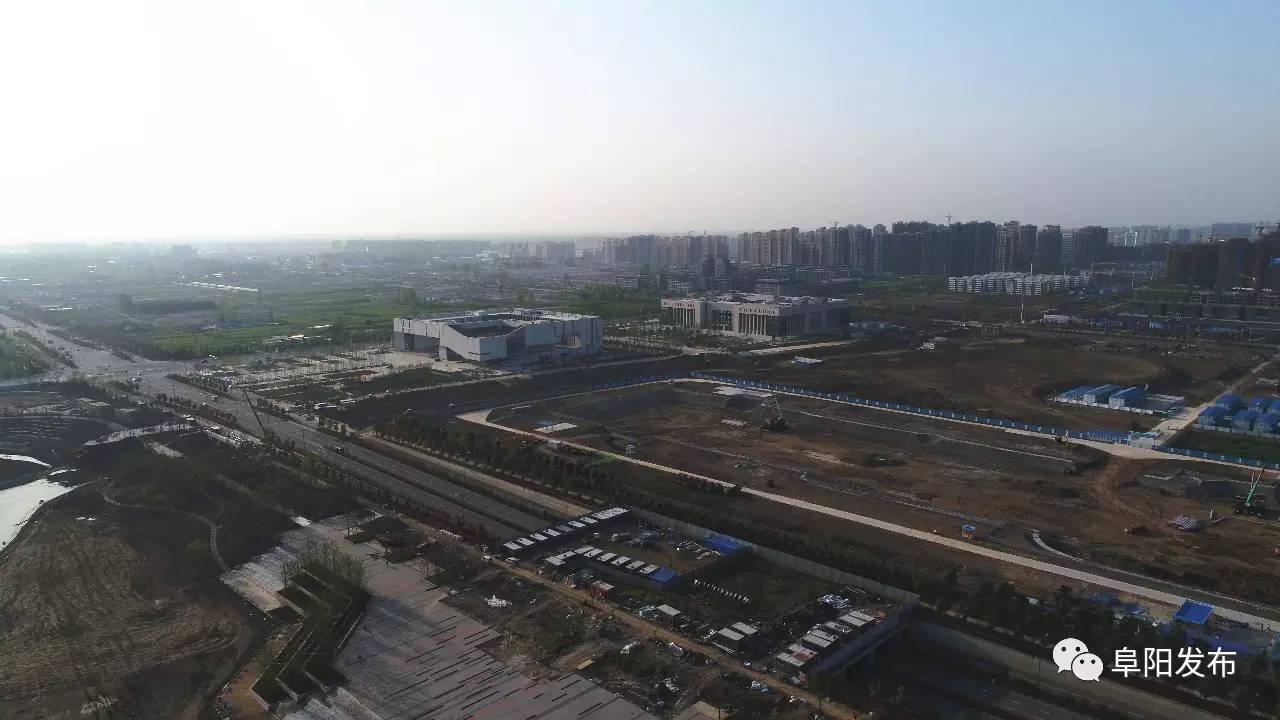 上海回阜阳最新动态揭秘，发展脉络与未来趋势展望