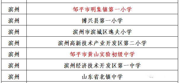 邹平县小学最新发展规划揭秘，未来教育新动向
