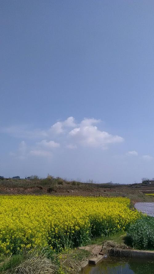 高寨镇最新天气预报更新通知