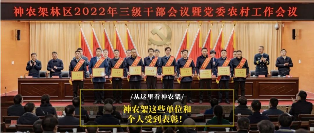 神农架林区剧团最新动态报道，剧团新闻更新速递
