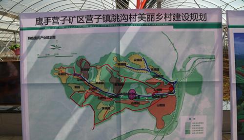 专家协会 第3页