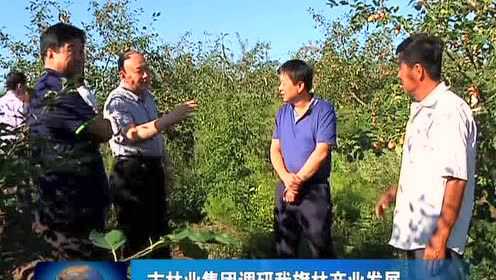 桑阿林村最新招聘信息全面概览
